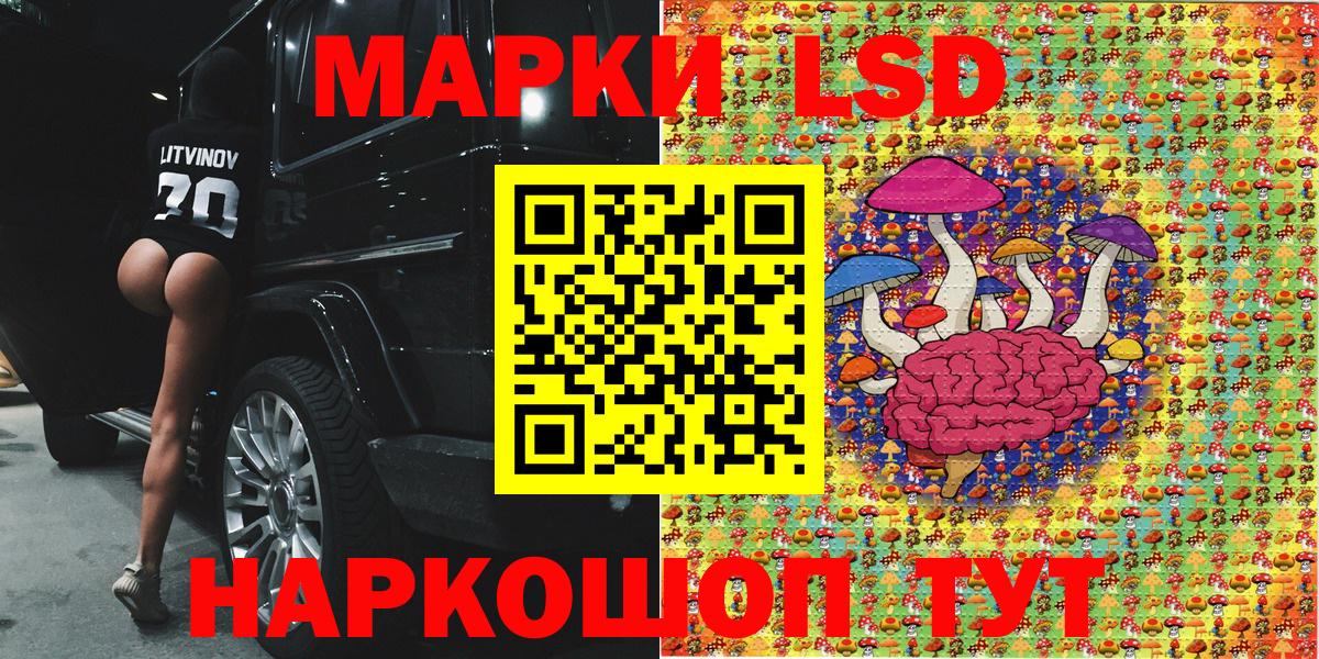 Наркотические марки  Марки 25I-NBOMe 1,8мг  Вход с VPN  Лесной 