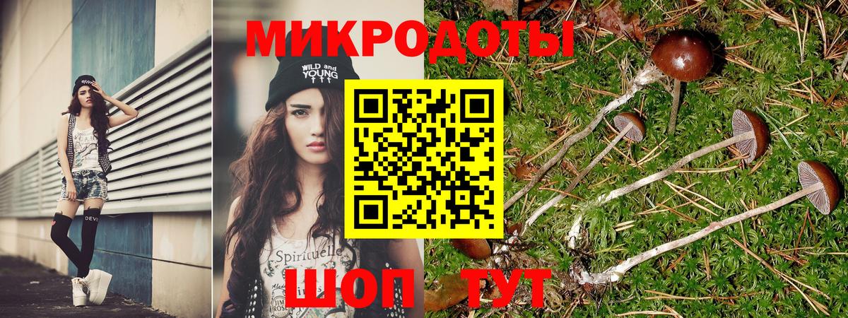 Галлюциногенные грибы мицелий Лесной